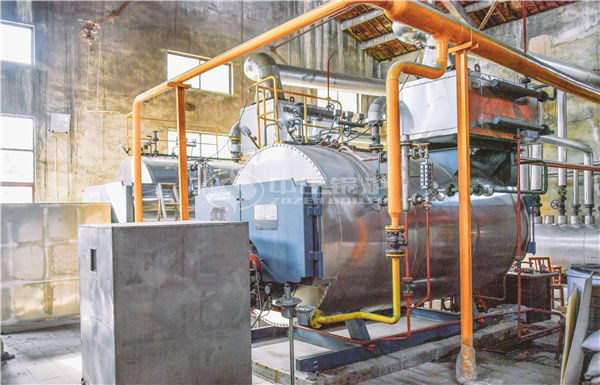 10tph eco-friendly WNS series gas-fired and oil-fired steam boiler project for the paper industry