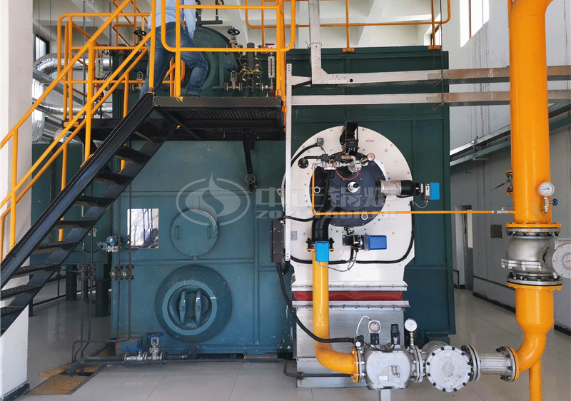 40 tph SZS series low NOx gas-fired steam boiler for pharmaceutical industry