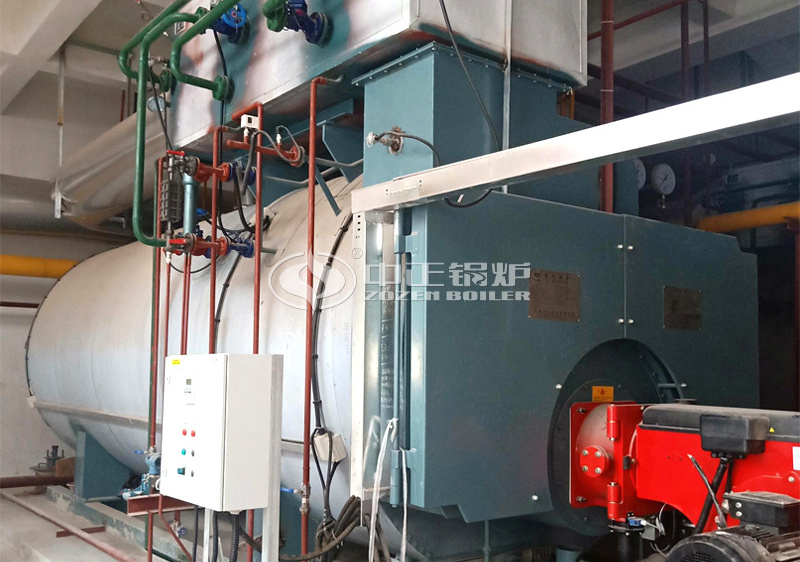 10 tph WNS series condensing gas-fired steam boiler for biomedical park