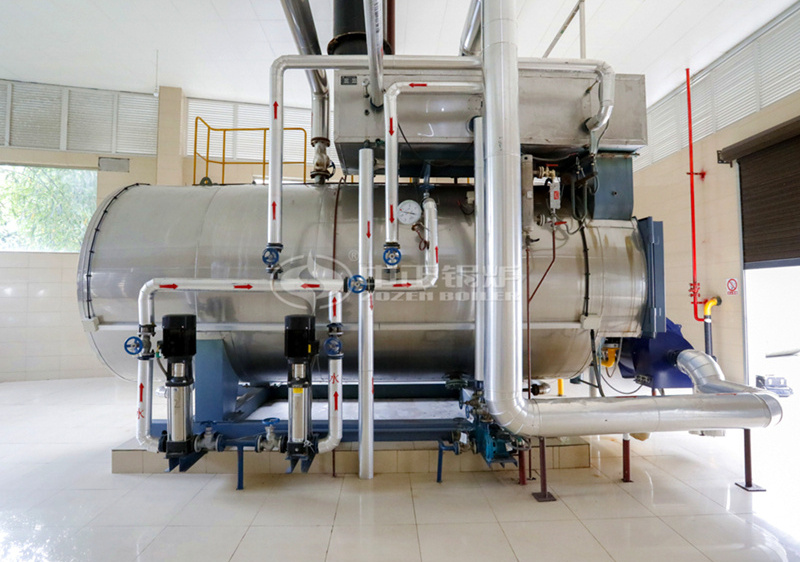 6 tph WNS series condensing gas-fired steam boiler for food industry