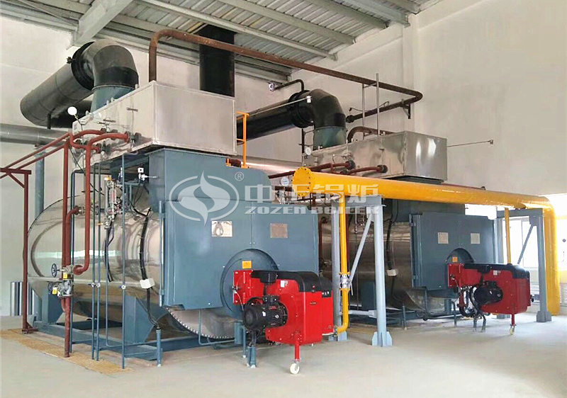 12 tph WNS series condensing gas-fired steam boiler for new energy industry