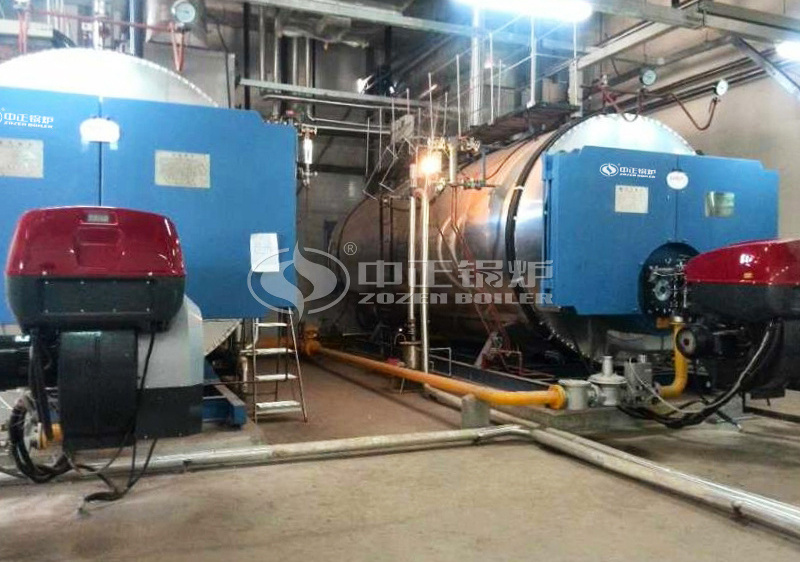 10 tph WNS series gas-fired steam boiler project for electronics industry
