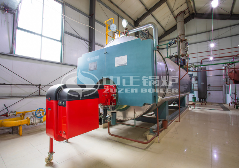 10 tph WNS condensing gas-fired steam boiler for healthcare industry 