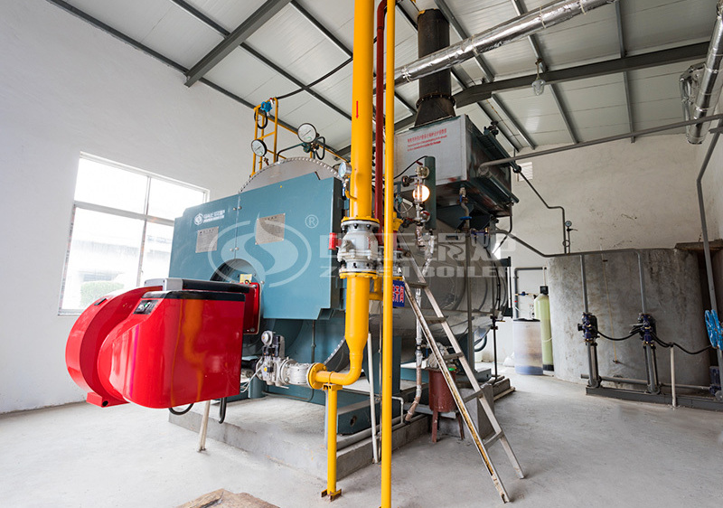 4 tph WNS series condensing gas-fired steam boiler project for textile industry