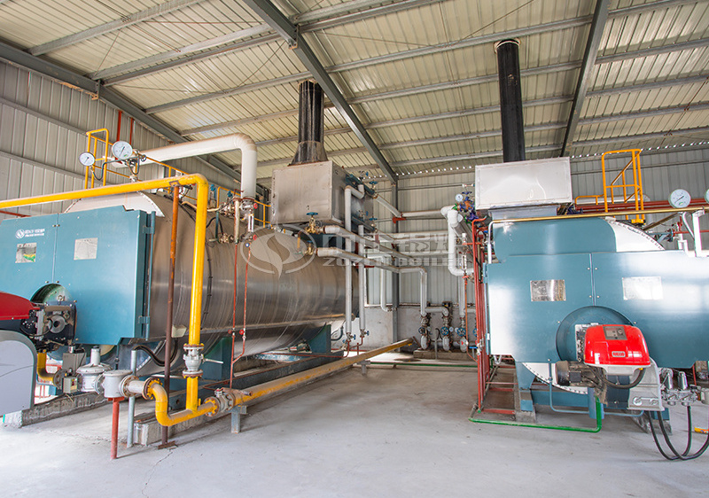 10 tph WNS condensing gas-fired steam boiler project for food industry