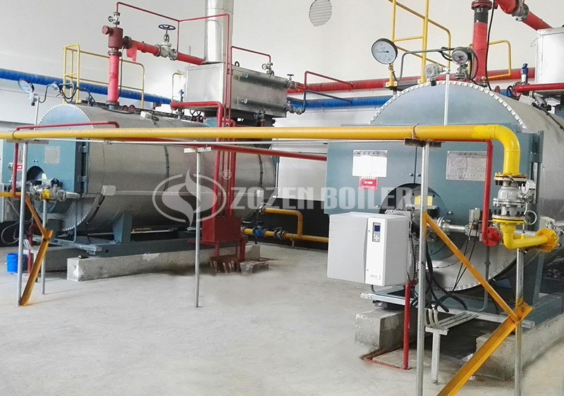 1.4MW WNS series gas-fired hot water boiler for heating industry