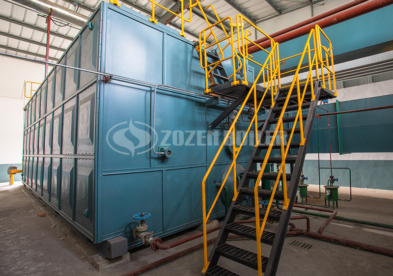 25 tph SZS condensing gas-fired steam boiler project for food industry  
