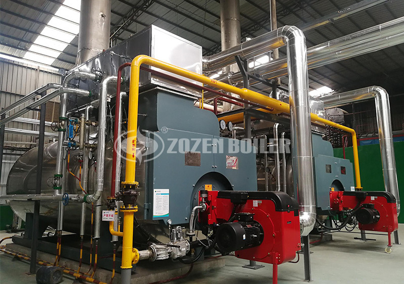 10tph WNS fire tube boiler project for new energy industry