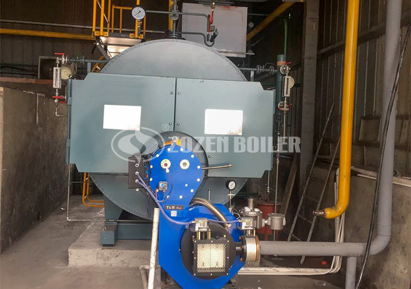 2tph WNS series gas-fired steam boiler project for feed industry