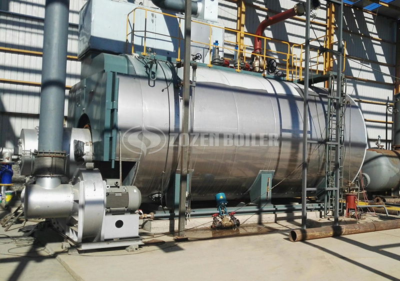 20 tph WNS gas-fired fire tube boiler project for biotechnology industry
