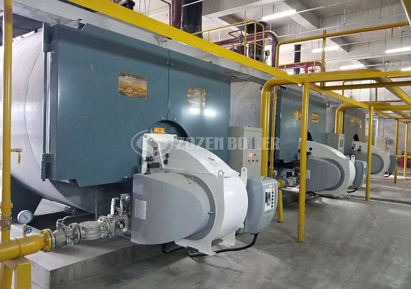 7MW WNS series gas-fired hot water boiler for OUTLET Mall 