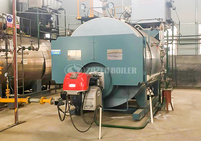 4tph WNS gas-fired firetube boiler project for food industry