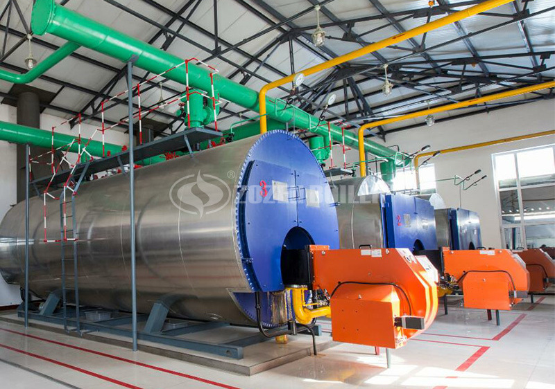 7MW WNS gas-fired hot water boiler project for Yinlang ranch