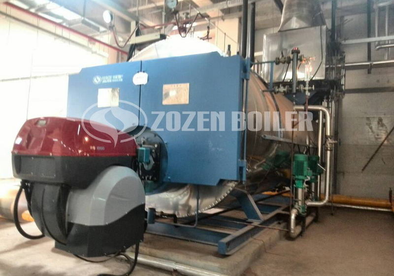 10 tph WNS gas-fired boiler for pharmaceutical factory