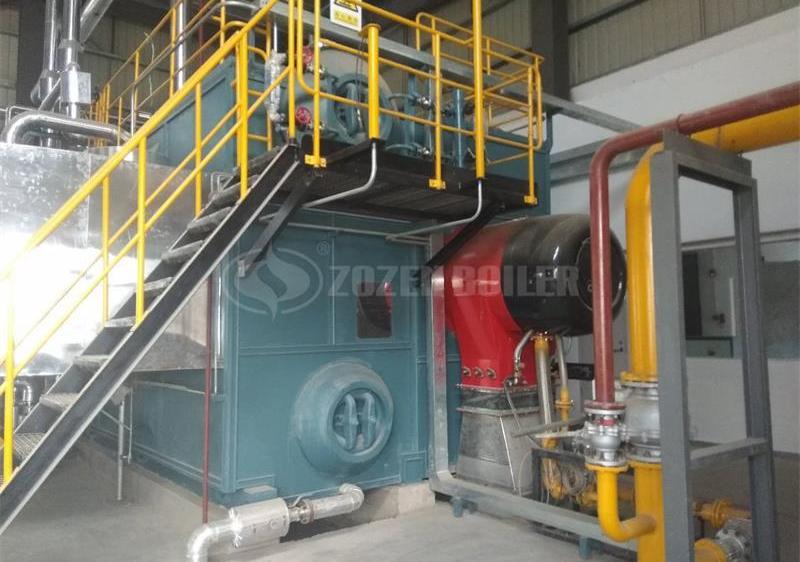 20 tph SZS gas-fired steam boiler for cigarette factory