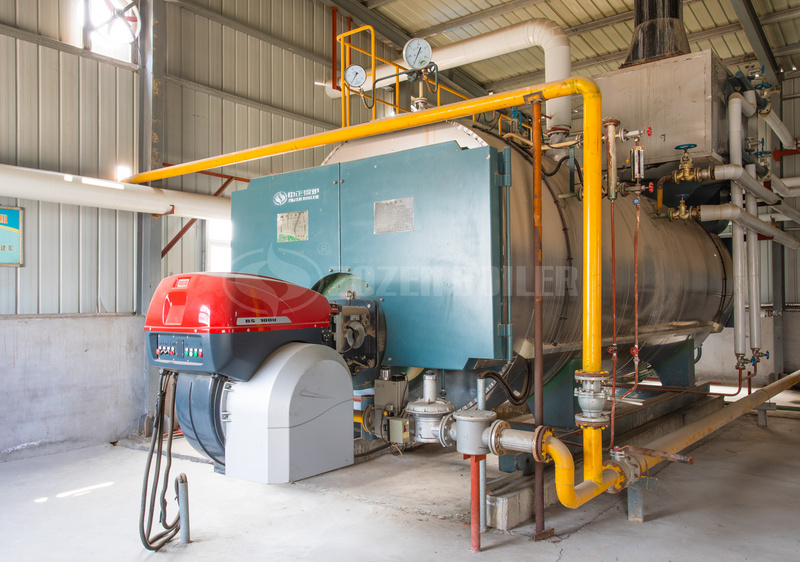 14 MW WNS condensing gas-fired boiler for university