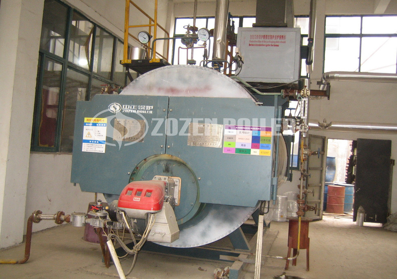 12 tph of SZL coal-fired and WNS gas-fired boiler for feed factory 