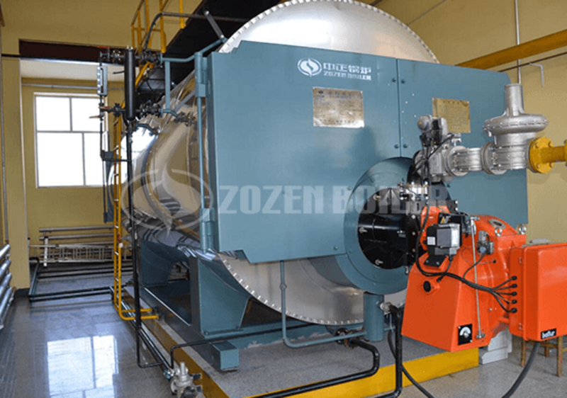 10 tph WNS condensing gas-fired boiler rubber plant