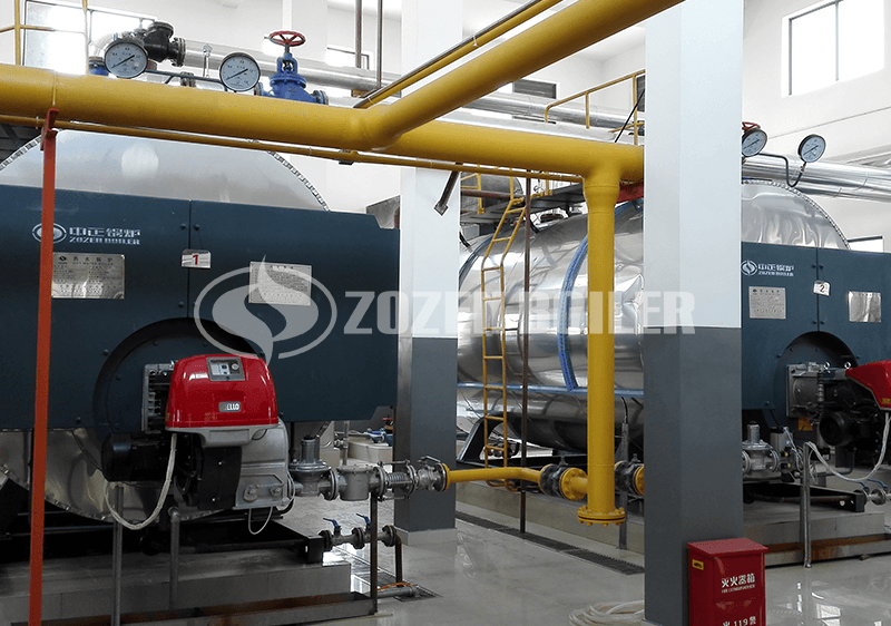 2.8 MW WNS gas-fired hot water boiler for agricultural park