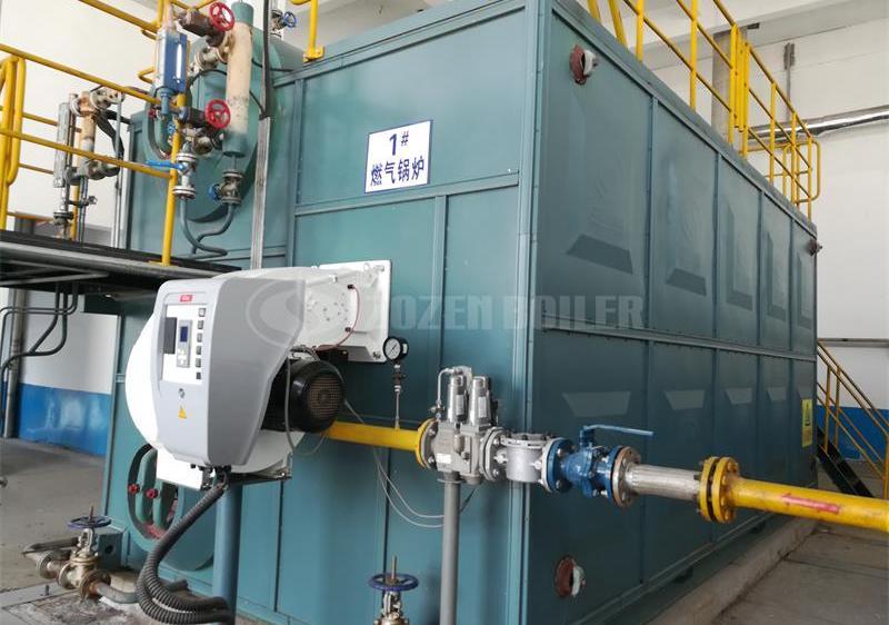 10 tph SZS condensing gas-fired boiler in Jiangsu