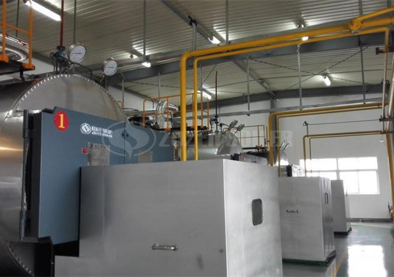 6 tph WNS condensing gas-fired steam boiler for rare earth factory