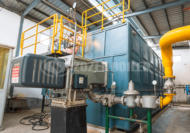 25 tph SZS condensing gas-fired boiler for lithium industry