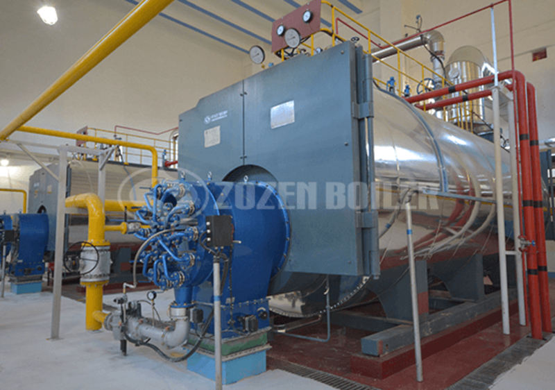 6 tph WNS condensing gas-fired boiler for wine industry
