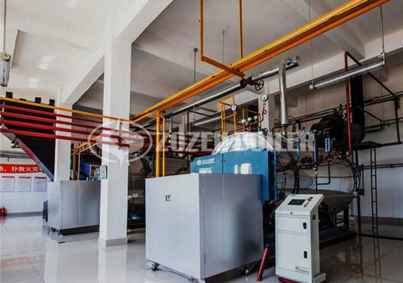 2 tph WNS condensing gas-fired boiler for feed industry