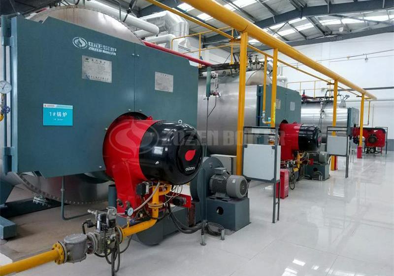 10 tph WNS condensing gas-fired boiler for beverage factory