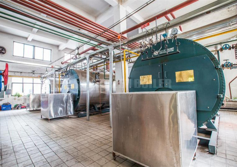 4 tph WNS condensing gas-fired boiler for feed industry