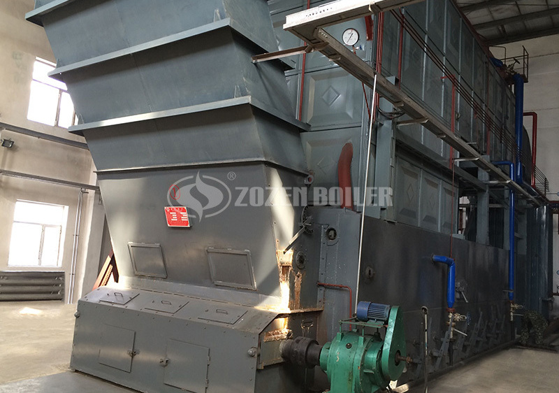 20tph SZL coal-fired steam boiler project for food industry