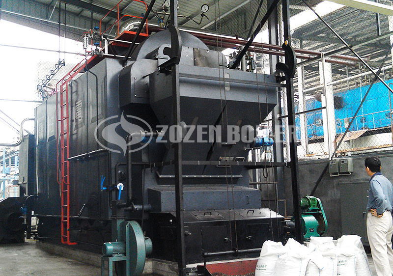 4 tph DZL biomass-fired steam boiler for pharmaceutical industry