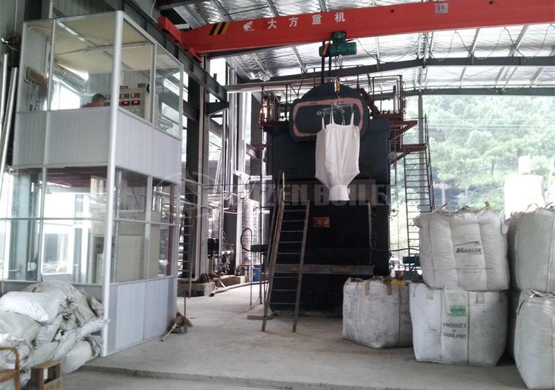 8 tph DZL biomass-fired steam boiler for textile factory