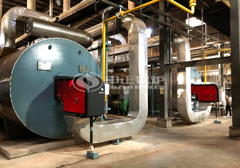 6MW YQW series gas-fired thermal fluid heater project for food industry
