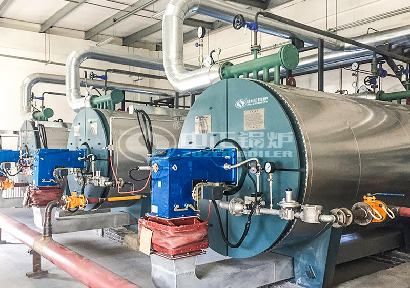 1.4 MW horizontal gas-fired thermal fluid heater project for food industry