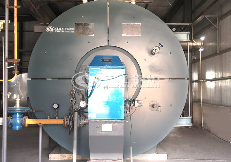 6MW YQW series gas-fired horizontal thermal fluid heater project for chemical industry