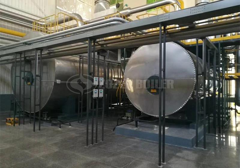 1.4 MW YYW thermal fluid heater for petrochemical factory