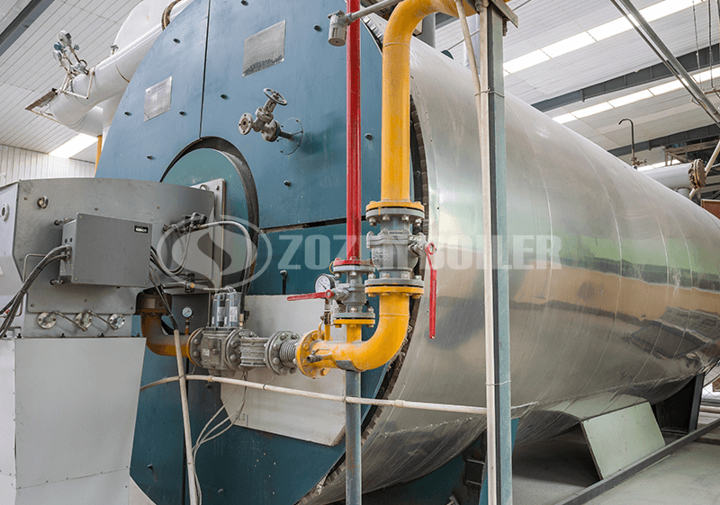 6 MW YYW thermal fluid heater for petrochemical factory