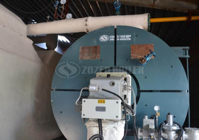 8.2 MW YYW gas-fired thermal fluid heater for food industry