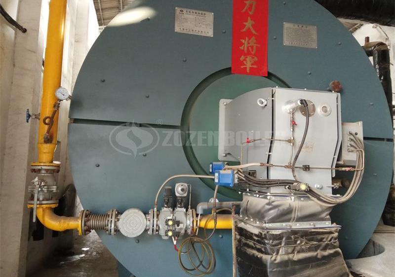 8.2 MW YY(Q)W thermal fluid for chemical factory