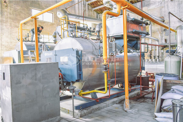 2 tph WNS condensing gas-fired steam boiler for chemical industry