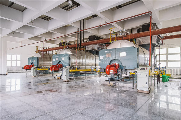 20 tph WNS gas-fired fire tube boiler project for biotechnology industry
