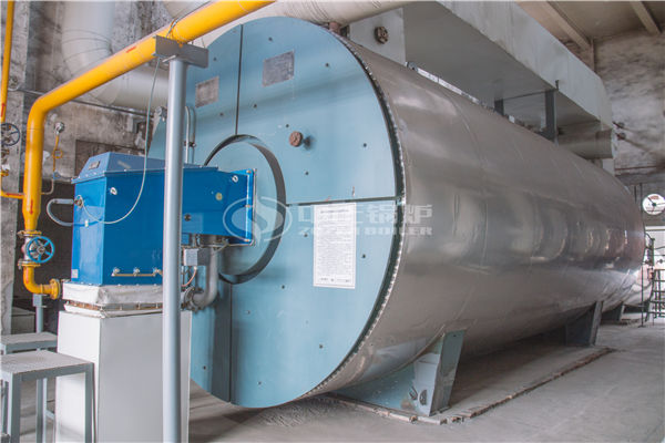 17.5 MW YQL thermal fluid heater for chemical factory