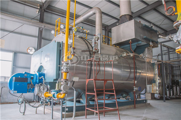 6 tph WNS condensing gas-fired steam boiler to Inner Mongolia