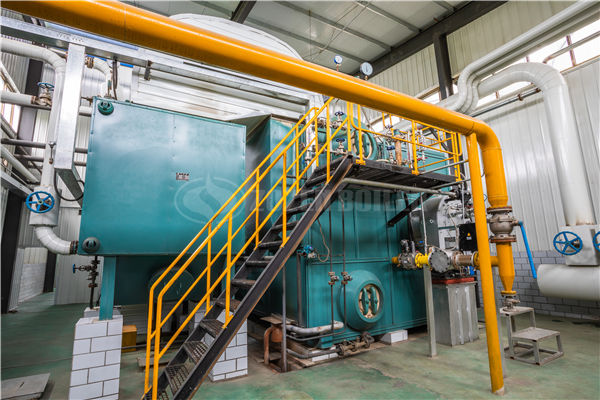 4 tph WNS series gas-fired fire tube boiler project for food industry