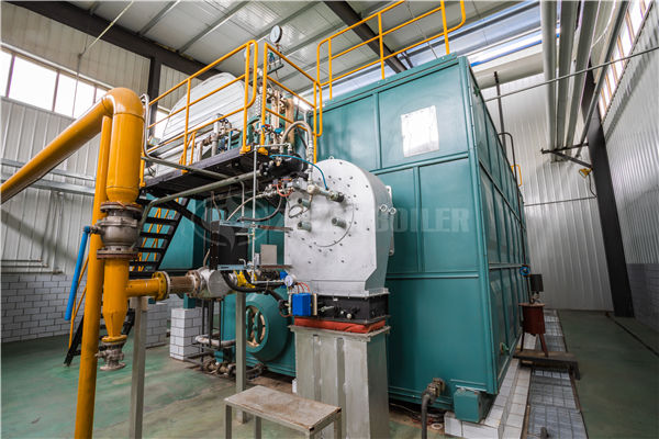 1.4 MW horizontal gas-fired thermal fluid heater project for food industry