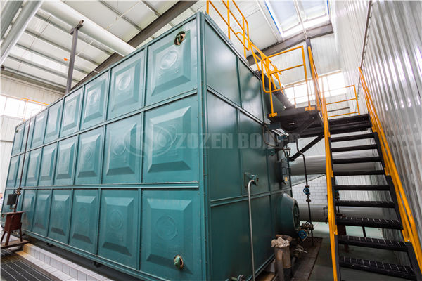 10 tph WNS series condensing gas-fired steam boiler for biomedical park