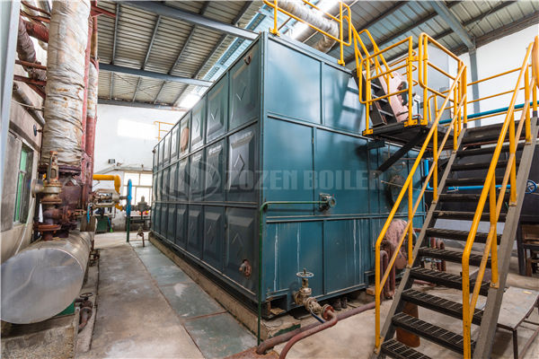 4.8MW YLW coal-fired thermal fluid heater for daily chemical