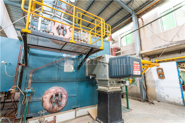 10 tph WNS condensing gas-fired boiler for beverage factory