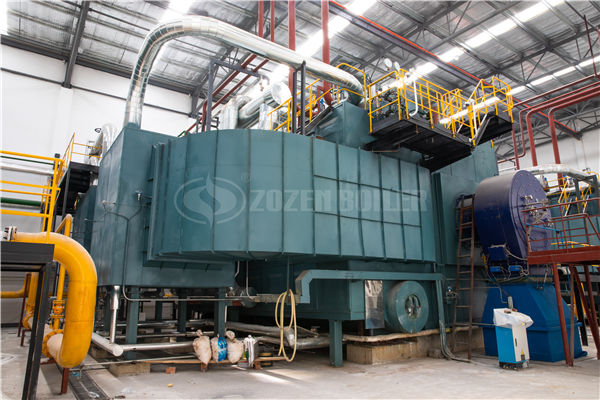 20 tph SZL biomass-fired boiler for tire factory